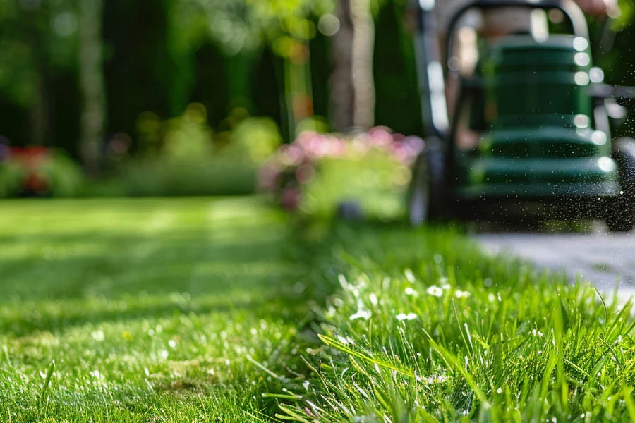 best battery powered lawnmower